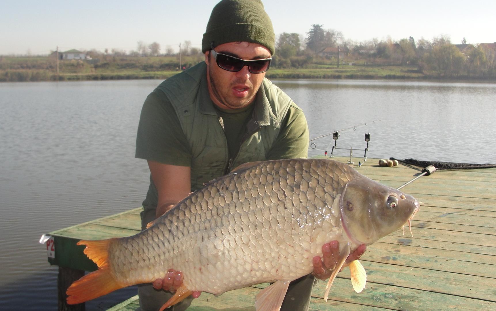 Moara Vlasiei 2 9 - 9 nov. - dsc02931.JPG